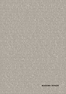 Madame Bovary Book Text