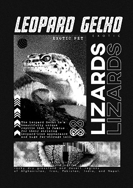 Leopard Gecko Modern