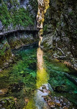 Sunlight In Vintgar Gorge
