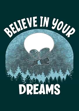Believe In Your Dreams