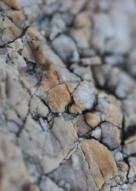 Sea rock abstract close up
