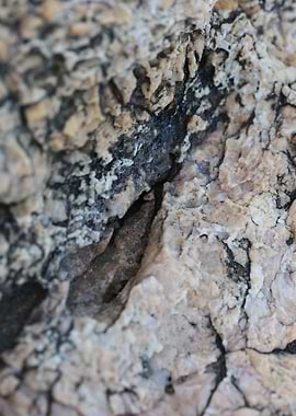 Rocks abstract macro view