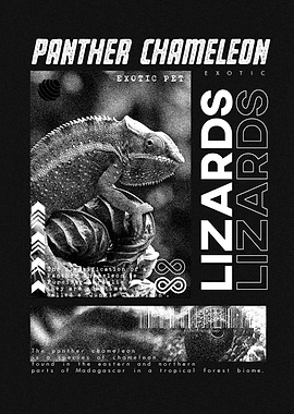 Panther Chameleon Modern