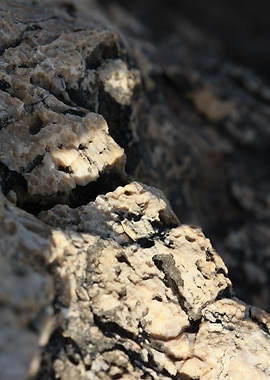 Sea rock abstract close up