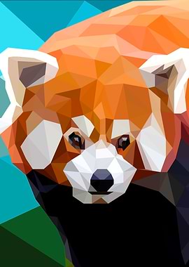 Red Panda