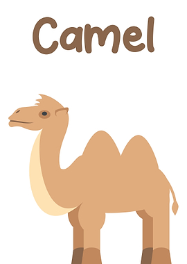 Camel