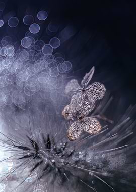Dried flowers and drops