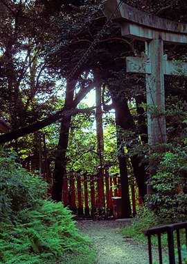 Mystical Forest with Torii