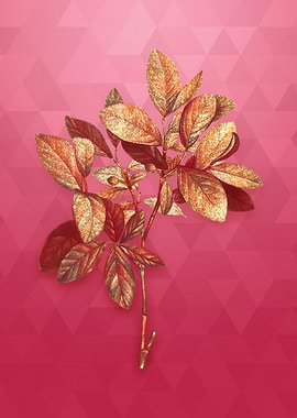 Gold Eastern Leatherwood