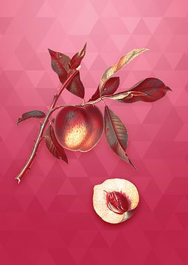 Gold Peach on Viva Magenta