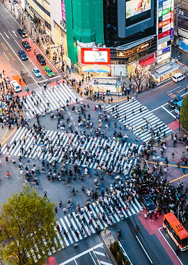 Crowded Shibuya crossing