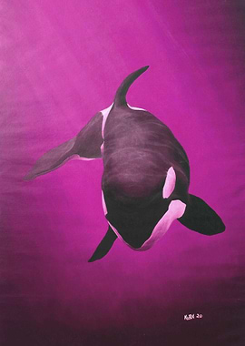 She Wolf Killer Whale