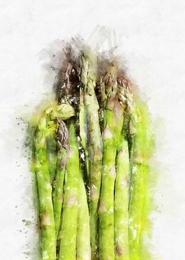asparagus watercolor