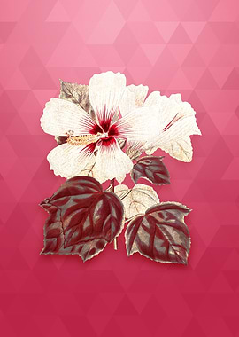 Vintage Marsh Hibiscus