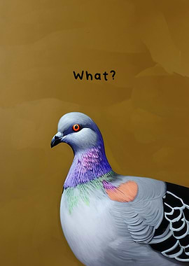 Meme Pigeon