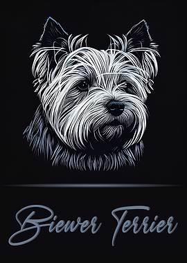 Biewer Terrier Portrait