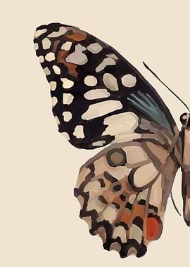 butterfly painting art