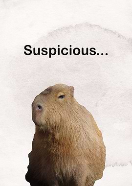 Suspicious Capybara Meme