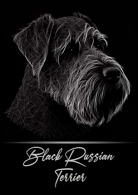 Black Russian Terrier