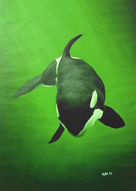 She Wolf Killer Whale