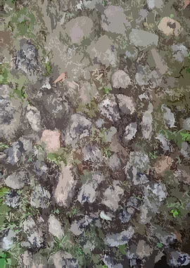 Rocky Tile Pattern5