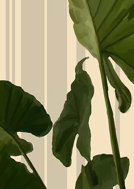 plants minimalist