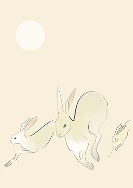 Hare Running