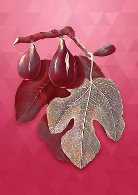 Gold Fig on Viva Magenta