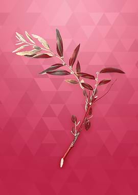 Jujube on Viva Magenta