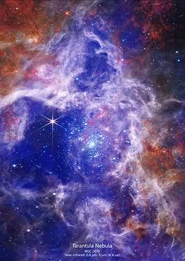 Tarantula Nebula