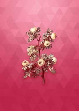 Gold Tansy Leaf Hawthorn