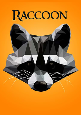 Raccoon