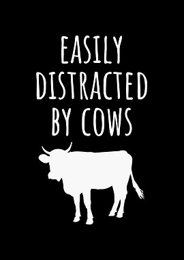 Easily Distracted by Cows