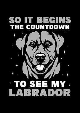 Labrador