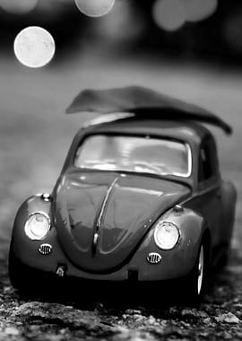 vw beetle