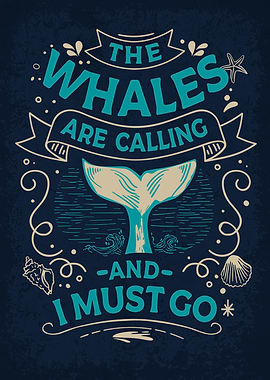 Funny Whale Watching Ocean