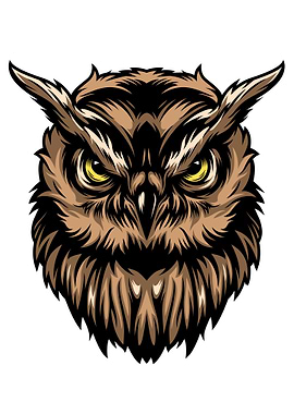 Colorful concentrated wise