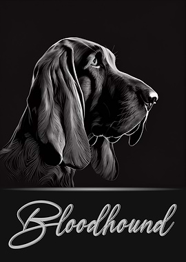 Elegant Bloodhound