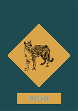 Puma