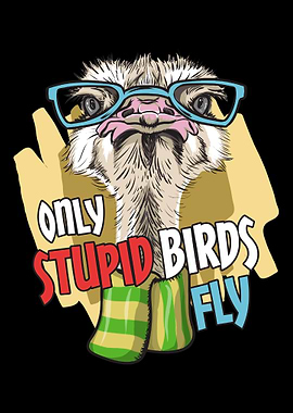 Only Stupid Birds Fly
