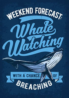 Whale Watching Tours