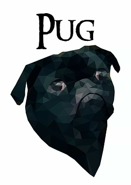 Pug
