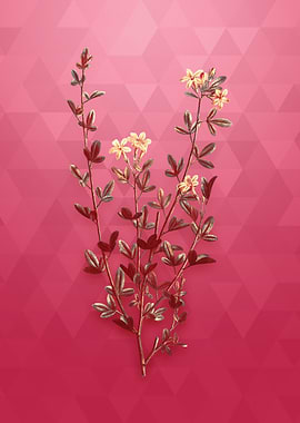 Yellow Jasmine Flowers