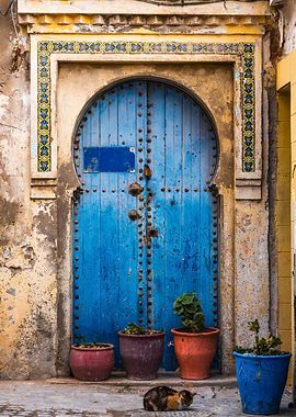 Cat and blue door Morocco