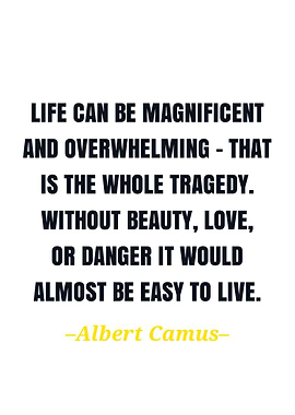 Albert camus quote