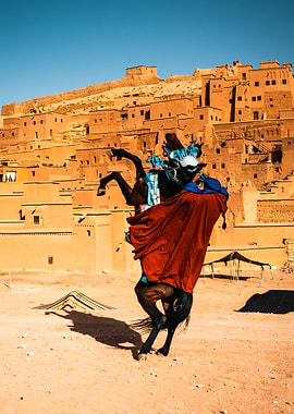 Man rearing horse Morocco