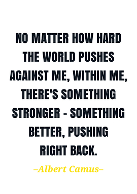 Albert camus quote