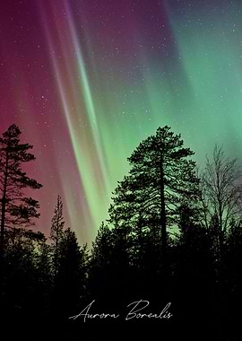Aurora Borealis