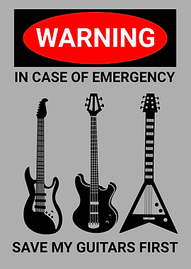 EMERGENCY GUITARS FIRST