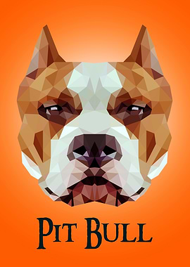 Pit Bull